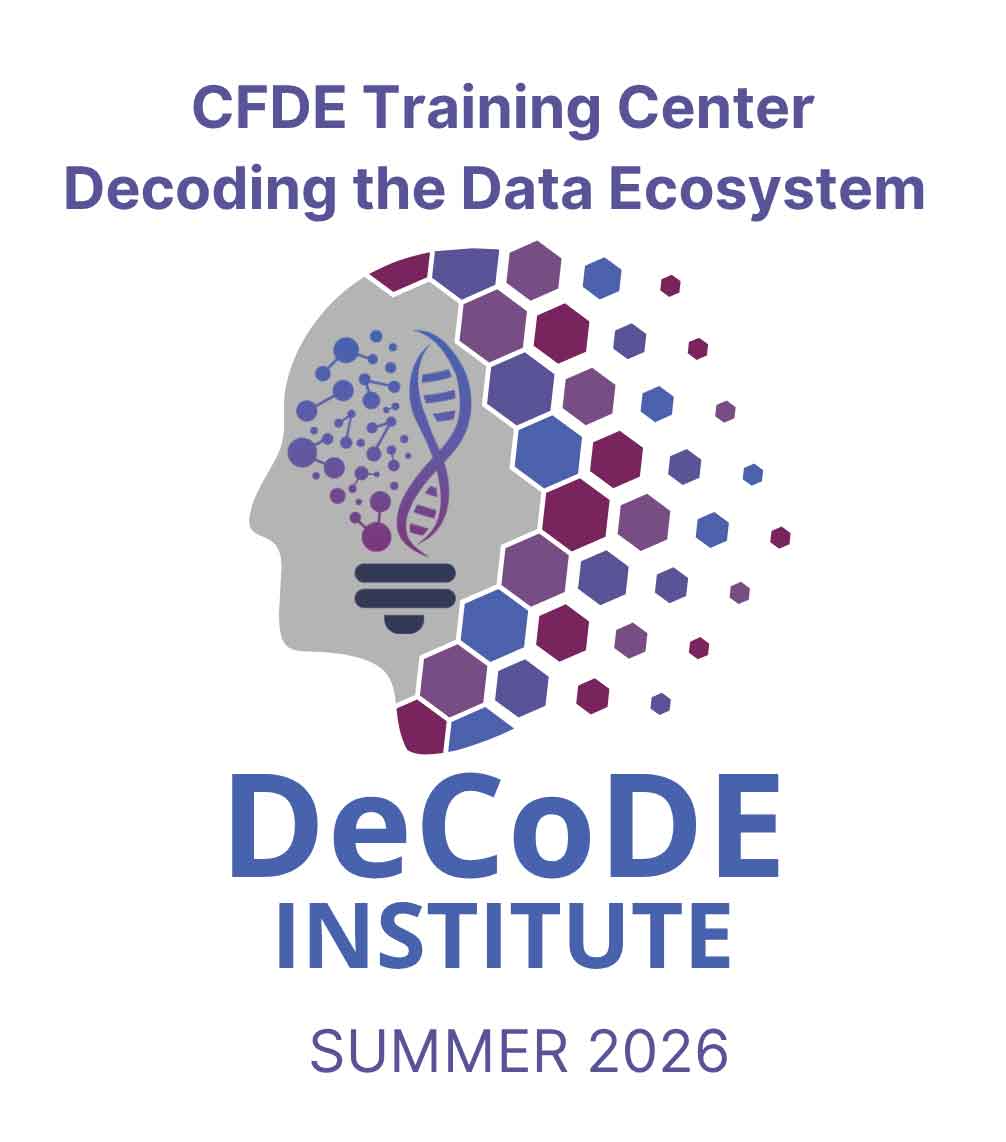 Decoding the Data Ecosystem Institute (DeCoDE Institute) 