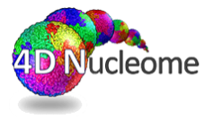 4d-nucleome.png
