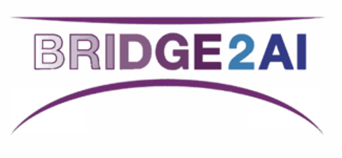 bridge-2-ai.png