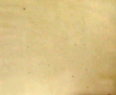 Kodak Film Fogged by the Trinity Test (1945)