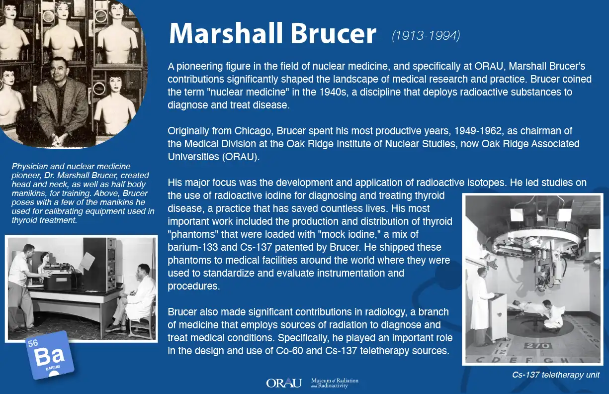 brucer-logo.webp