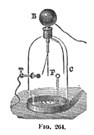 Bennet gold leaf diagram