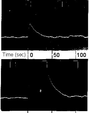 Carmichael electroscope