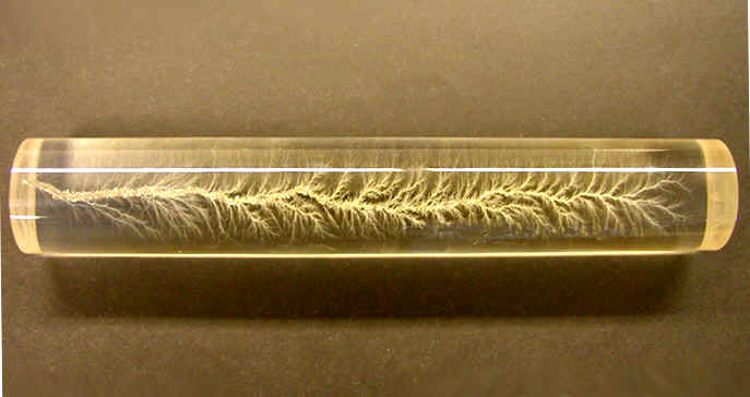 Three-Dimensional Lichtenberg Figure 