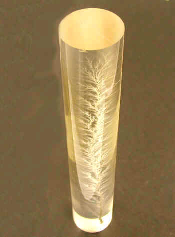 Three-Dimensional Lichtenberg Figure 