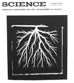 Famous Lichtenberg Figure/Tree of Fire