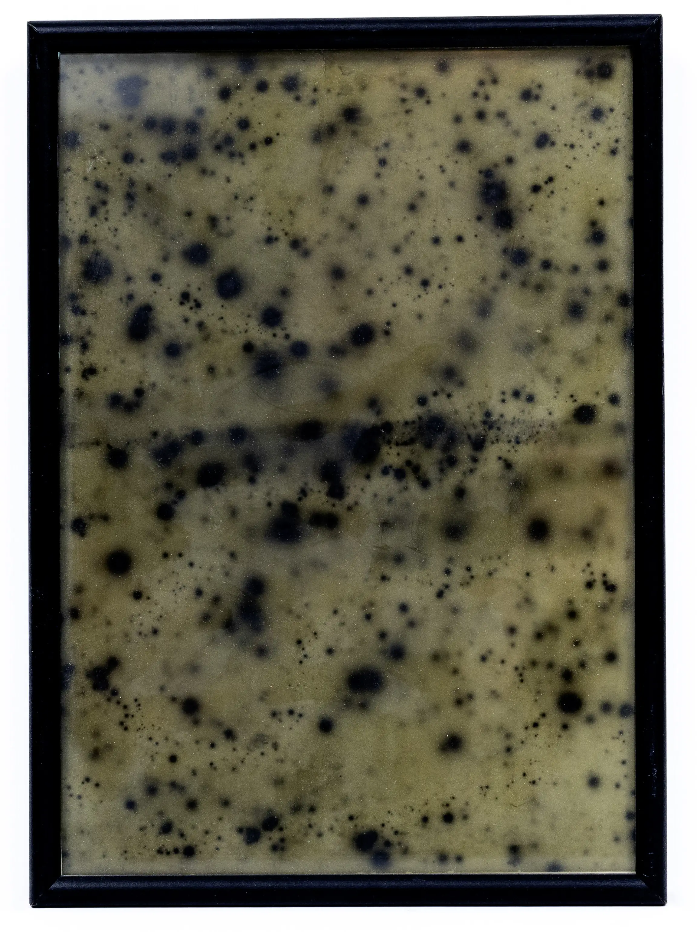 Fallout on Sticky Film (ca. 1952)