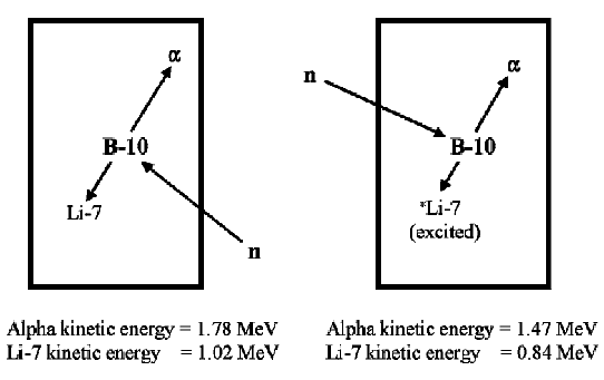  Boron Trifluoride (BF3) Neutron Detectors