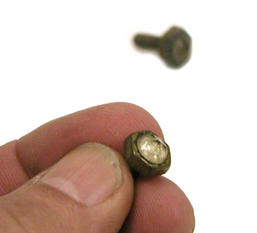 "Radieye" Screws