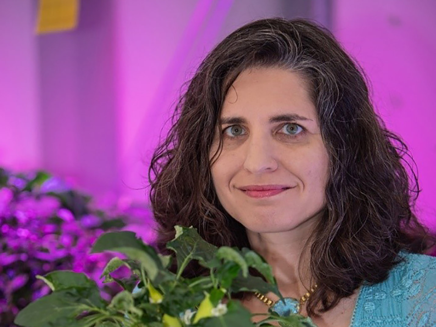 Former NASA Postdoctoral Program Participant Gioia Massa, Ph.D.
