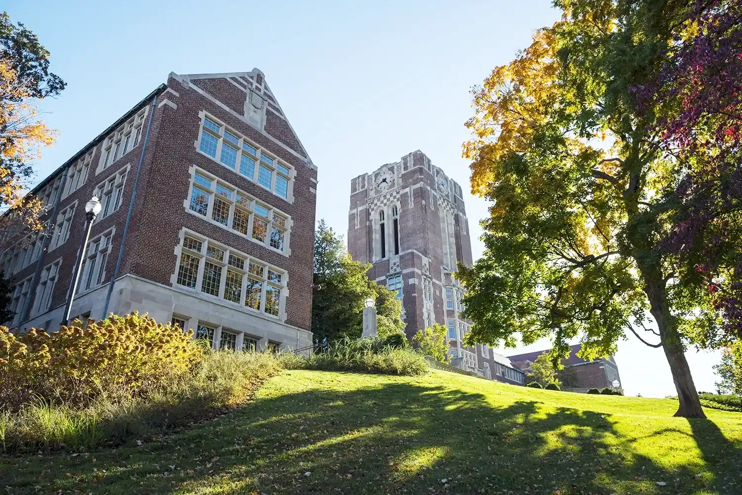 University of Tennessee campus