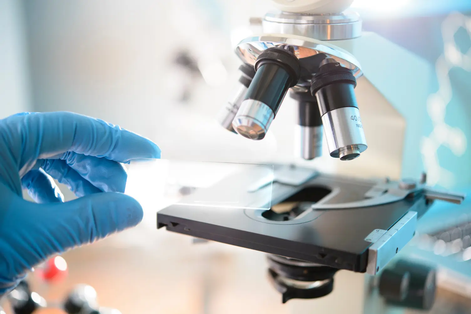 A person conducts research in a laboratory setting